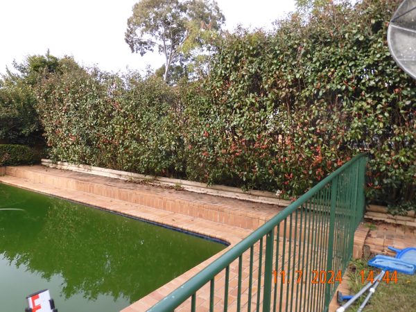 Overgrown hedging